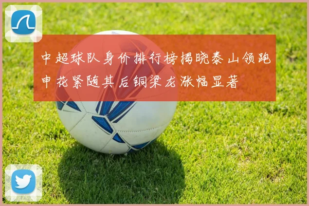 中超球队身价排行榜揭晓泰山领跑申花紧随其后铜梁龙涨幅显著