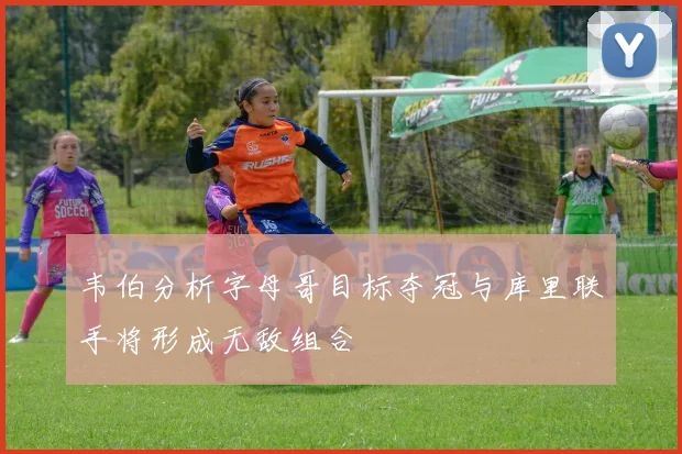 韦伯分析字母哥目标夺冠与库里联手将形成无敌组合
