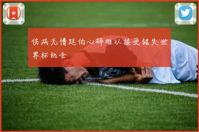 伤病无情廷伯心碎难以接受错失世界杯机会